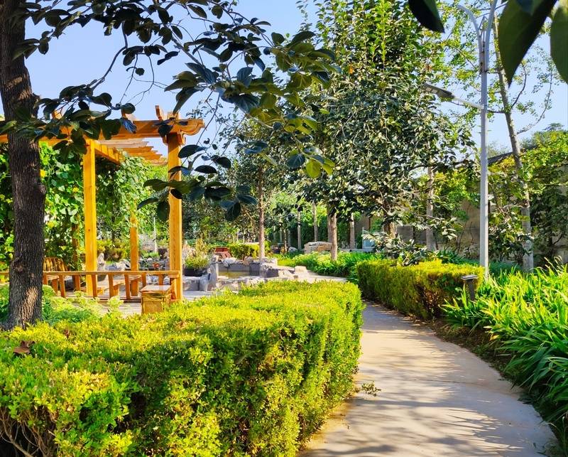 养老院收费标准丰台区民族养老院特色服务长者颐养佳选J9国际集团【2026最新】北京丰台区专业正规的(图46) 养老院收费标准丰台区民族养老院特色服务长者颐养佳选J9国际集团【2026最新】北京丰台区专业正规的(图46)